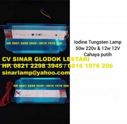 Lampu Jalan Sorot Led Iodine Tungsten Lamp 12V dan 220V